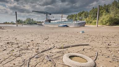 "Nächsten Sommer brauchen wir einen nationalen Aktionsplan"