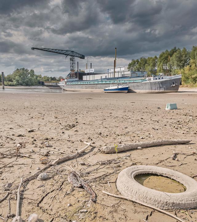 Niedrigwasser am Rhein - Tolkamer