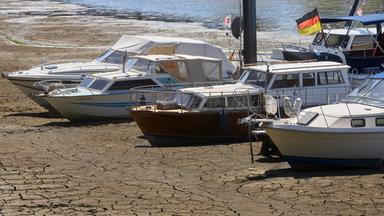 Boote im Sportboothafen in Koblenz-Ehrenbreitstein, Rheinland-Pfalz, liegen am 10.08.2026 aufgrund von Niedrigwasser dem Trockenen.