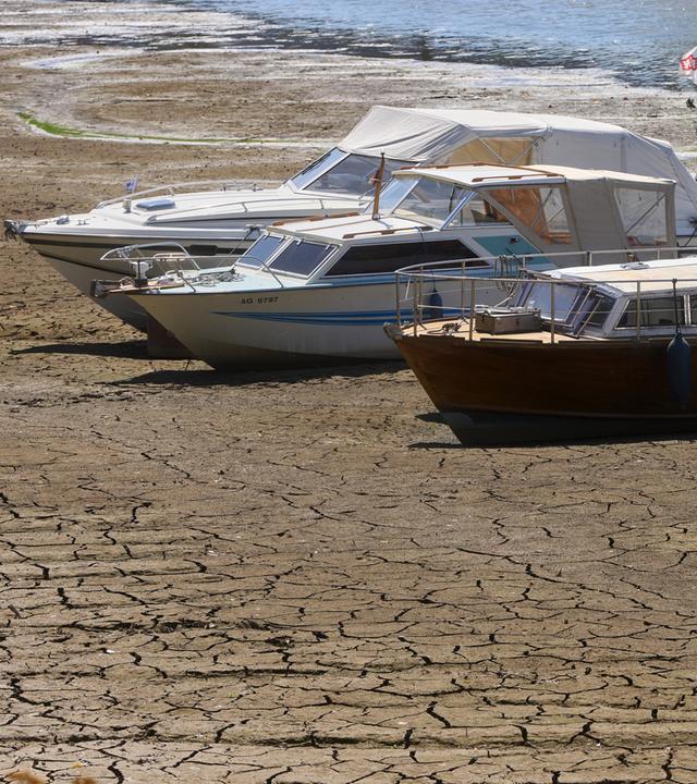 Boote im Sportboothafen in Koblenz-Ehrenbreitstein, Rheinland-Pfalz, liegen am 10.08.2026 aufgrund von Niedrigwasser dem Trockenen.