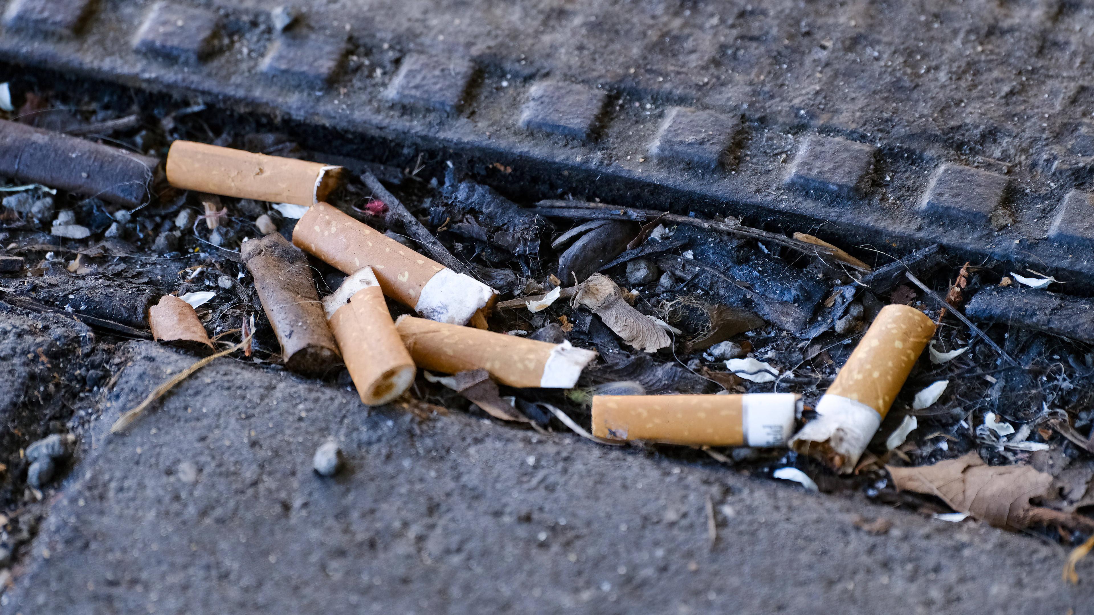 Zigarettenstummel am 03.04.2025 auf einem Straßenboden in Düsseldorf.