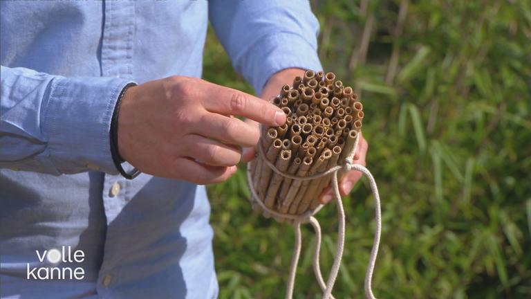 Nisthilfe aus Schilfrohren