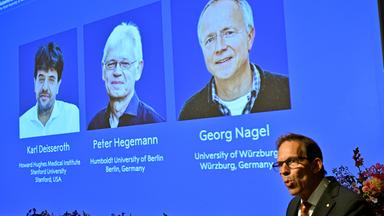 Karl Deisseroth, Peter Hegemann und Georg Nagel sind auf dem Bildschirm zu sehen, als ihnen der Nobelpreis für Physiologie oder Medizin 2026 verliehen wird