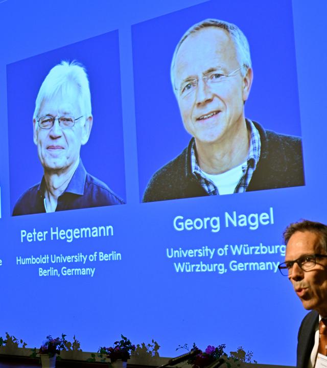 Karl Deisseroth, Peter Hegemann und Georg Nagel sind auf dem Bildschirm zu sehen, als ihnen der Nobelpreis für Physiologie oder Medizin 2026 verliehen wird