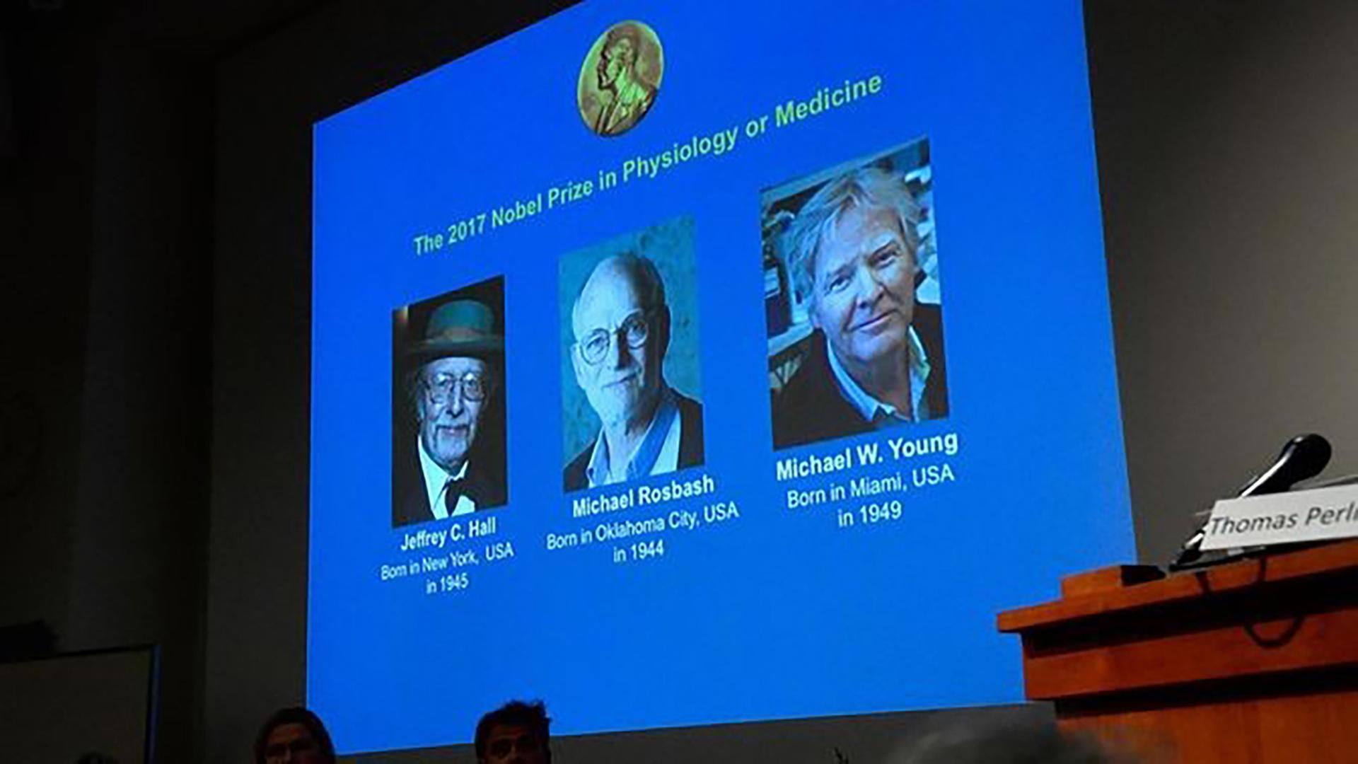 Die US-Forscher Jeffrey Hall, Michael Rosbash und Michael Young für die Erforschung der Inneren Uhr.