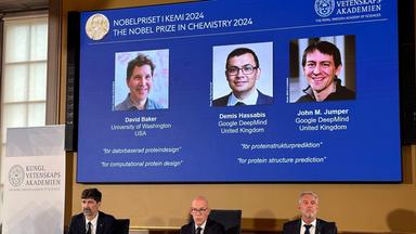 Nobelpreis für Chemie: David Baker (l-r), Demis Hassabis, und John M. Jumper 