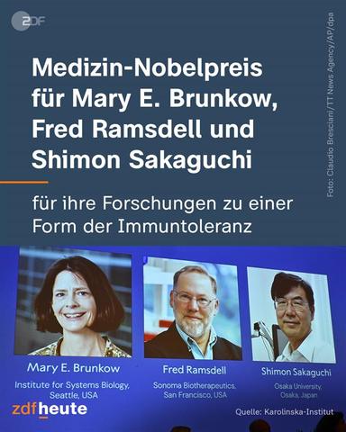 Der Medizin-Nobelpreis geht an die drei Immunforscher Mary Brunkow, Fred Ramsdell und Shimon Sakaguchi.