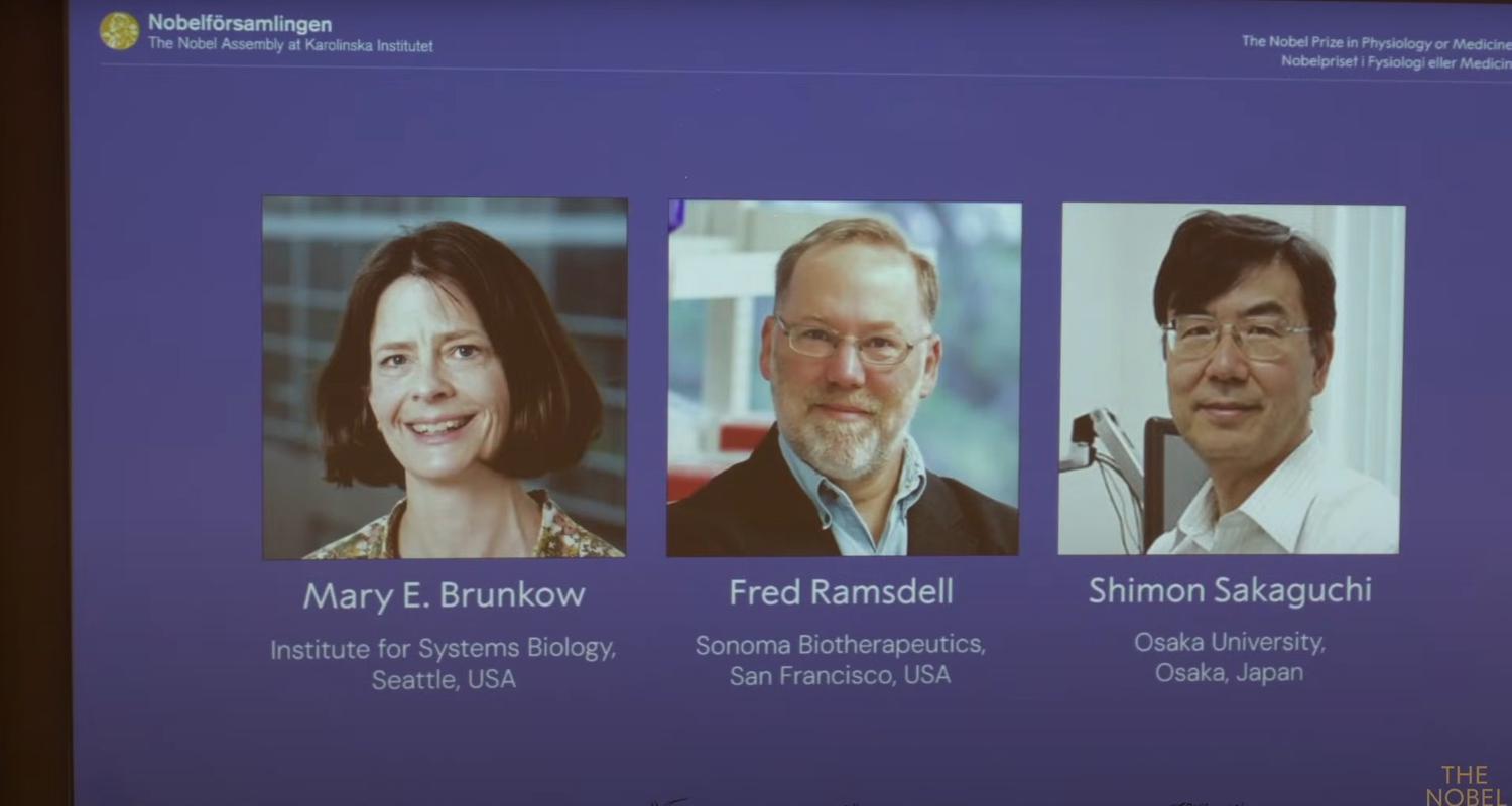 Präsentation der Medizin-Preisträger Mary Brunkow, Fred Ramsdell und Shimon Sakaguchi auf einer Leinwand.