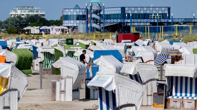 Zahlreiche Strandkörbe stehen bei sonnigem Wetter am Strand an der Nordsee.