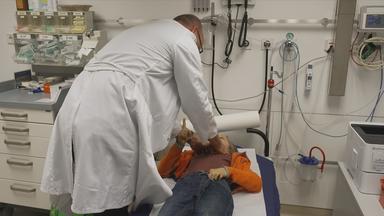 Notstand in Kinderkliniken