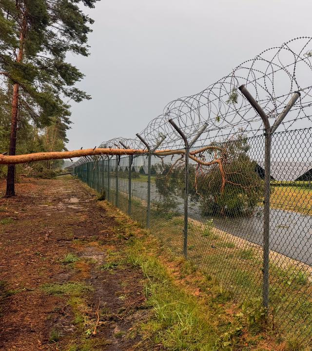 Auf dem Gelände des Nürnberger Flughafens wurden nach einem heftigen Unwetter mehrere Bäume entwurzelt.