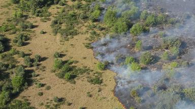  Feuerwehren sind wegen eines Ödlandbrandes bei Neustrelitz im Einsatz (Drohnenaufnahme).