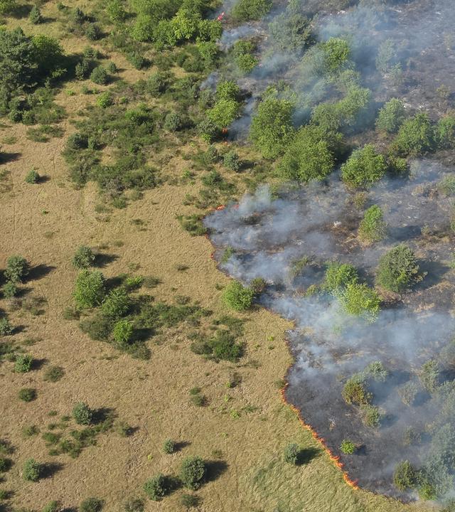  Feuerwehren sind wegen eines Ödlandbrandes bei Neustrelitz im Einsatz (Drohnenaufnahme).