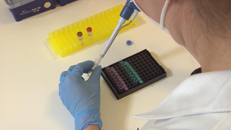 Österreich: mehr DNA-Tests 