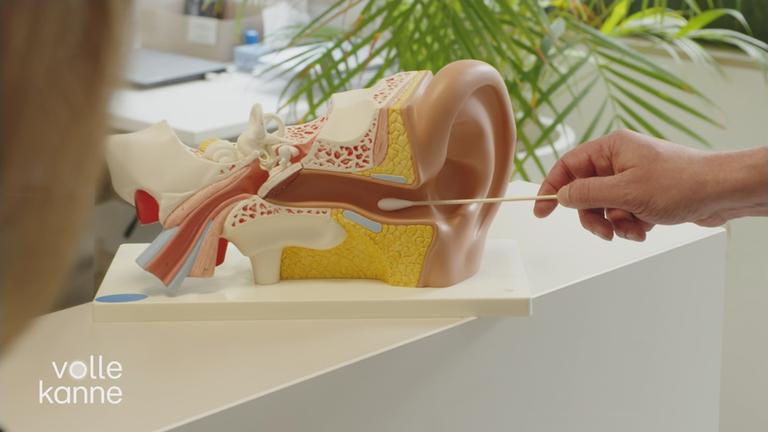 Ohren richtig säubern und pflegen