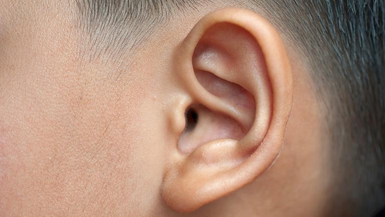 Ohr eines Mannes