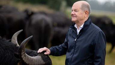 Olaf Scholz