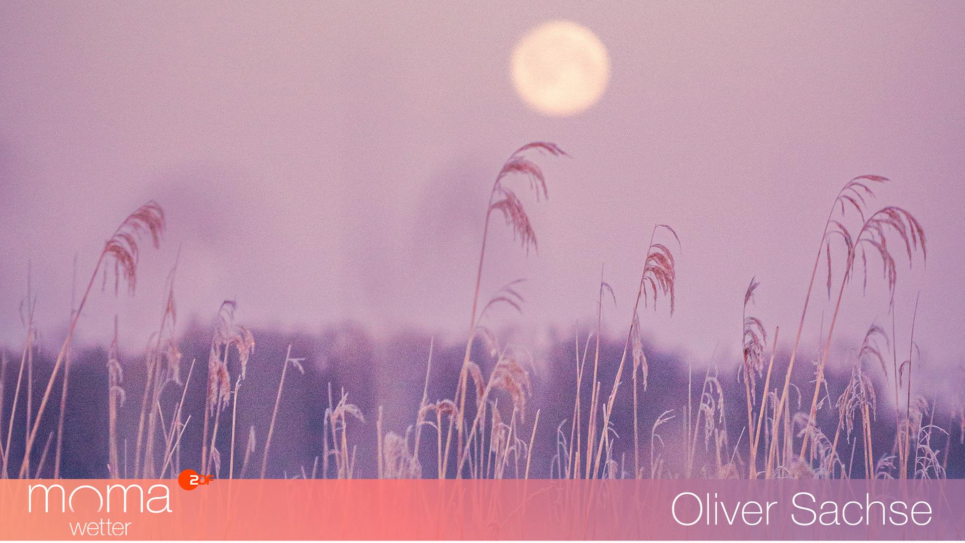 Gewinnerfoto vom 2. April 2026