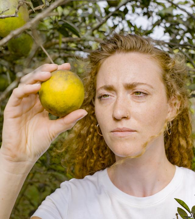 Eine Frau hält eine unreife Orange an einem Orangenbaum in der Hand.