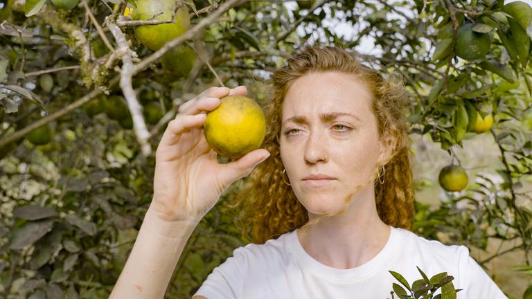 Eine Frau hält eine unreife Orange an einem Orangenbaum in der Hand.