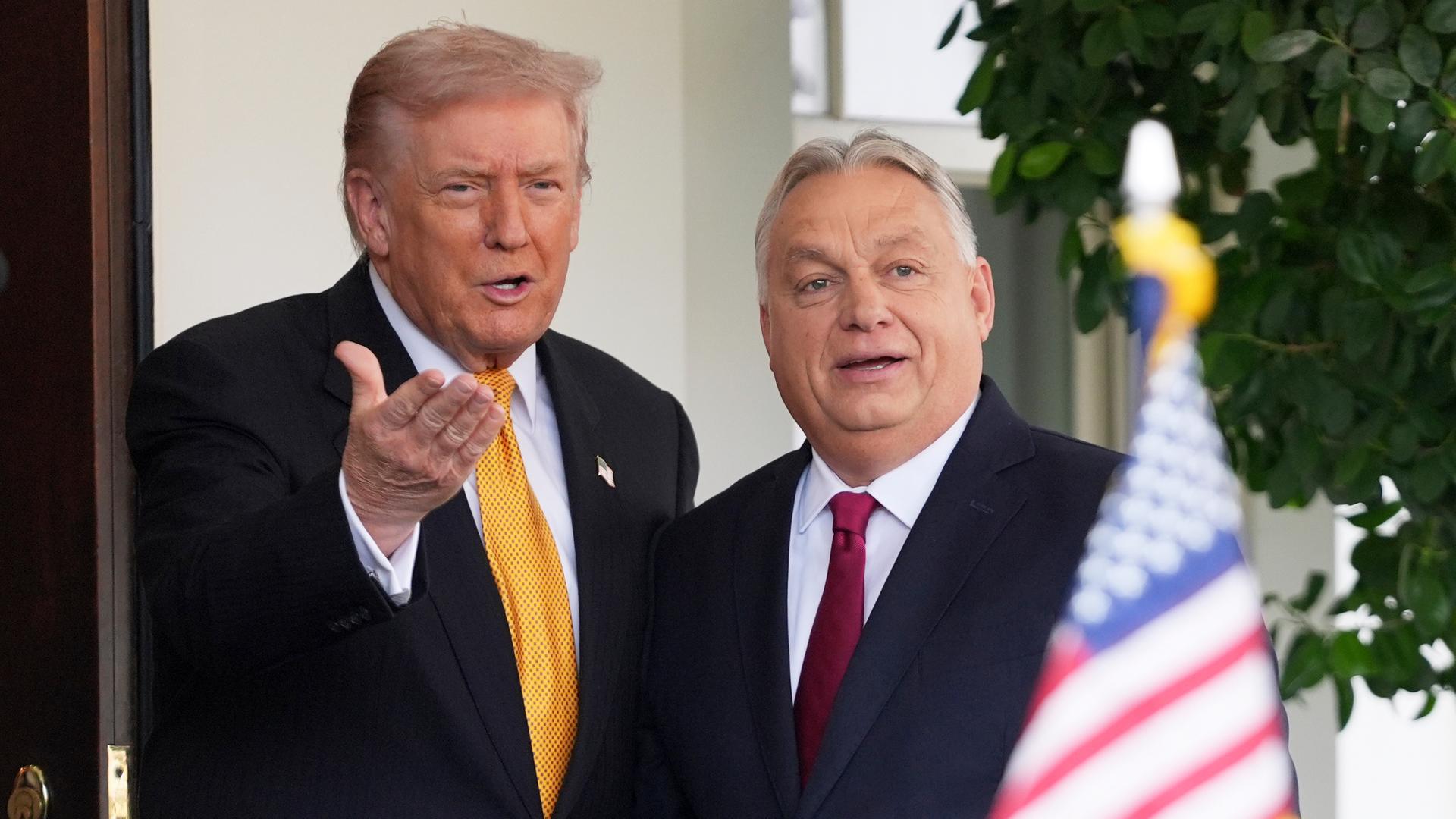 US-Präsident Donald Trump (L) und Ungarns Ministerpräsident Viktor Orban (R) stehen vor dem Weißen Haus
