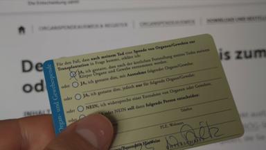 Organspende