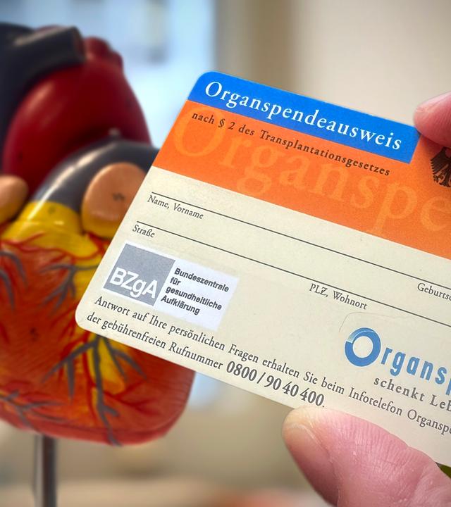 Organspendeausweis. Im Hintergrund ist eine Figur eines organischen Herzes