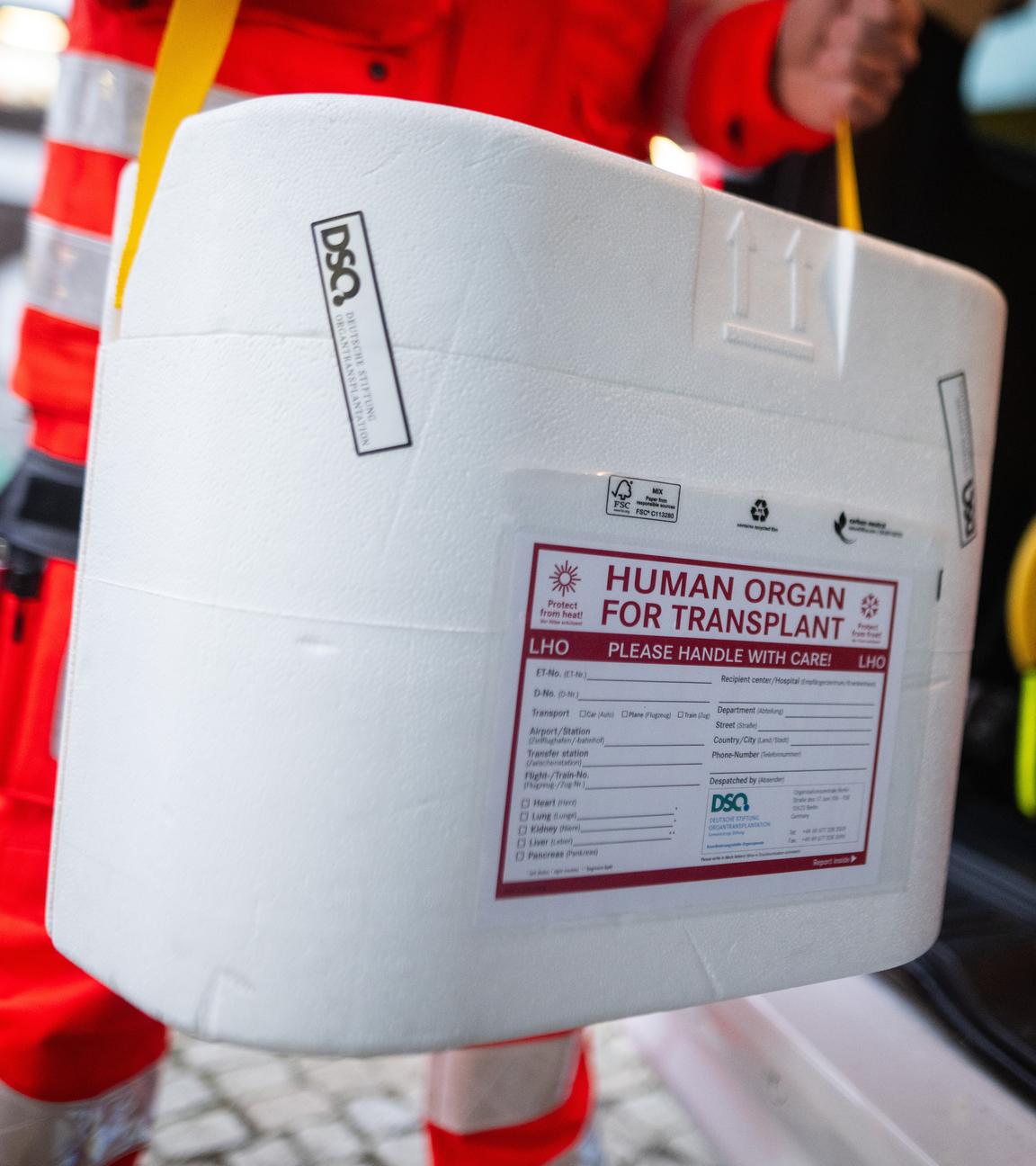 Ein Mitarbeiter des DRK stellt eine Kühlbox für eine Organspende in einen Transporter des Deutschen Roten Kreuzes. 