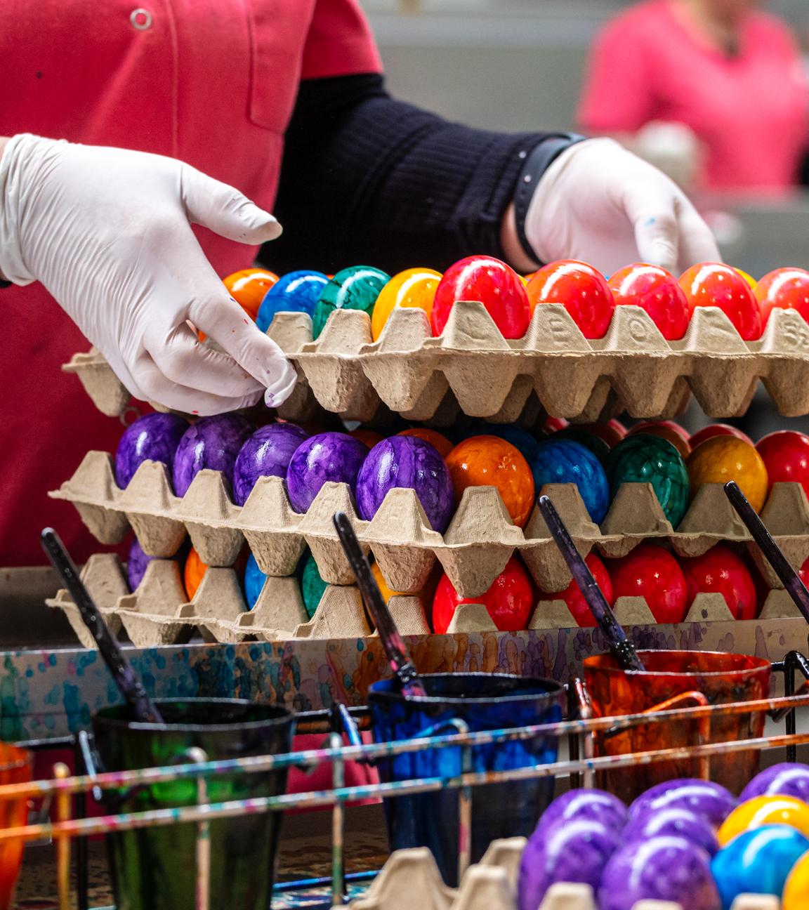 Mitarbeiterin beim Verpacken von bunt gefärbten Ostereiern.
