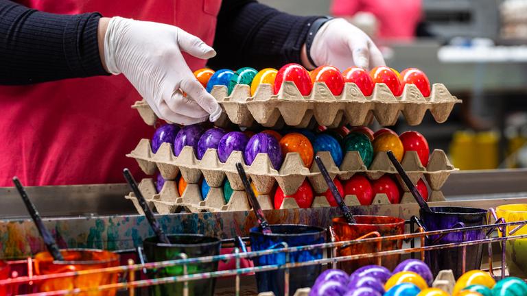 Mitarbeiterin beim Verpacken von bunt gefärbten Ostereiern.