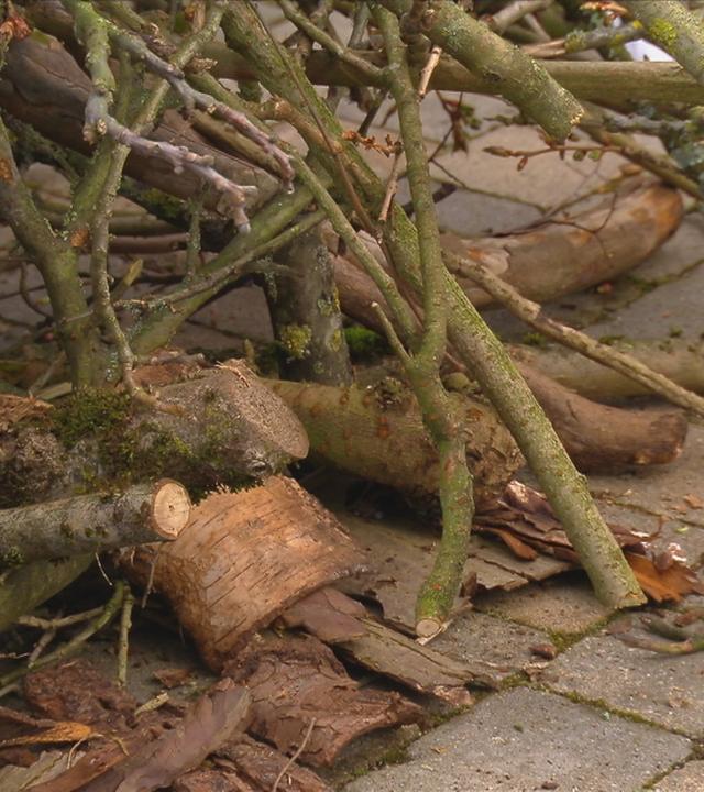 Osterfeuer: Die Risiken für Wildtiere