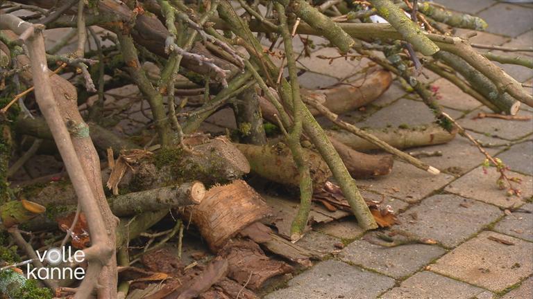 Osterfeuer: Die Risiken für Wildtiere