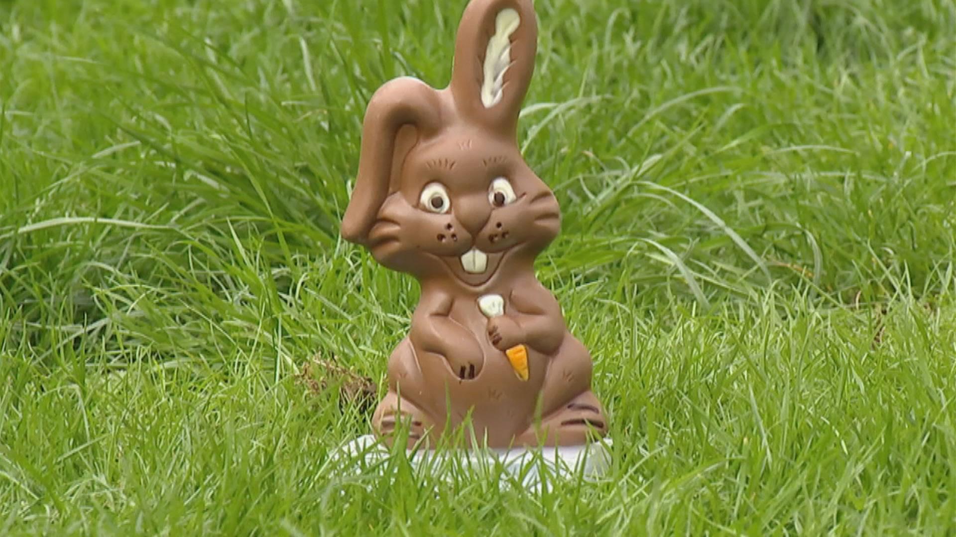 Schoko-Osterhase