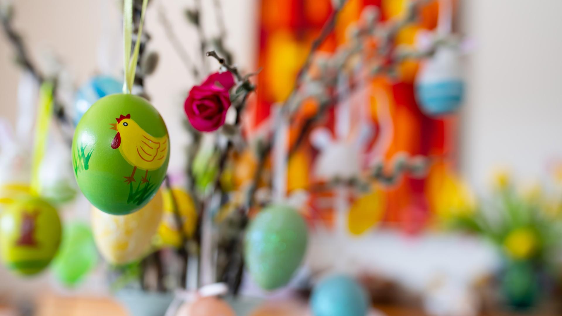 Dekoration an Ostern. Bemalte Ostereier hängen an einem Palmbuschen.