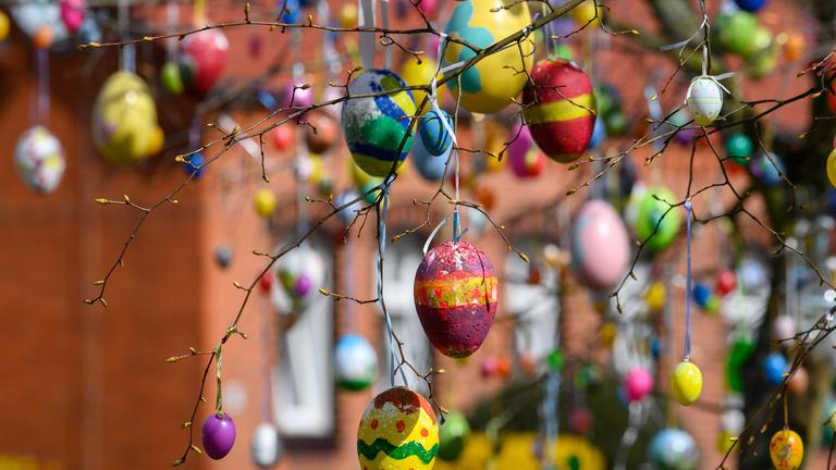 Bemalte Ostereier hängen an einem Baum.