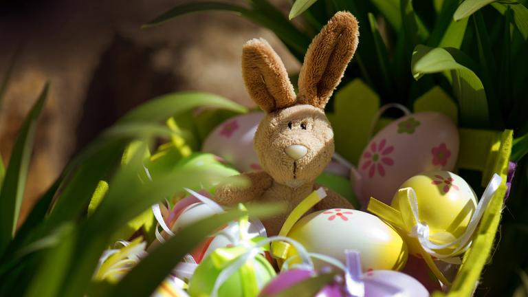 Osternest mit Osterhase