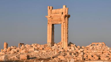 Palmyra