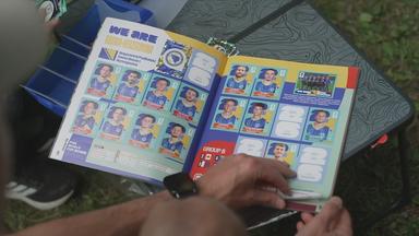 Panini Album