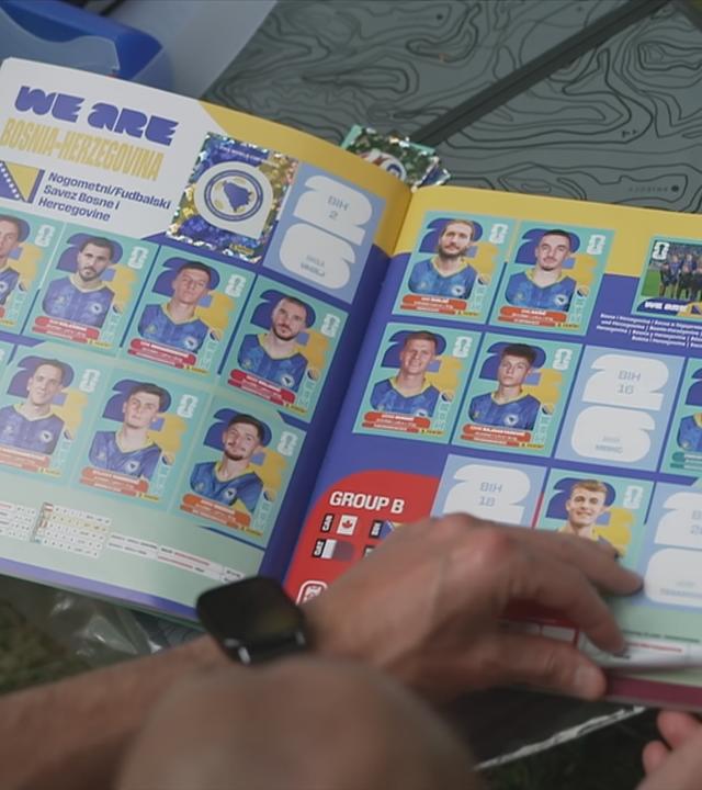 Panini Album