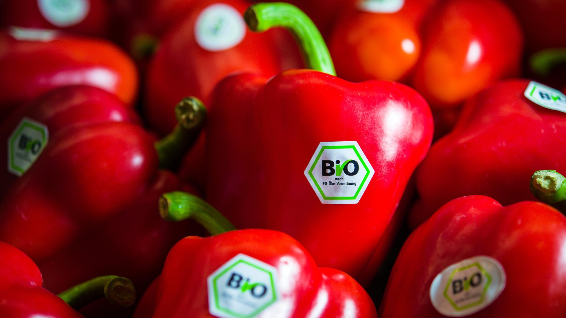 Frische rote Paprikas mit grün-weißen Stickern der Aufschrift Bio.