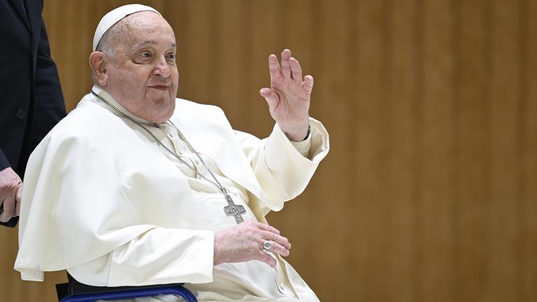 Papst Franziskus im Vatikan