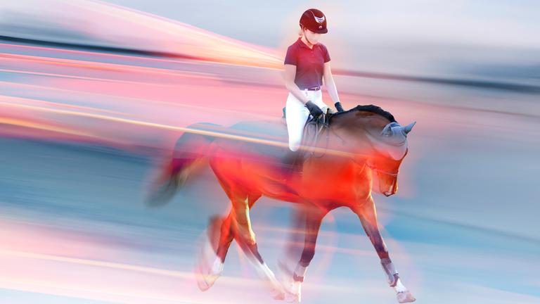 sportstudio live: Para-Reiten