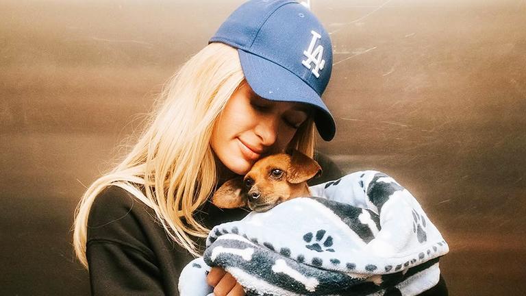 Paris Hilton posiert mit der Hundedame "Zuzu". 