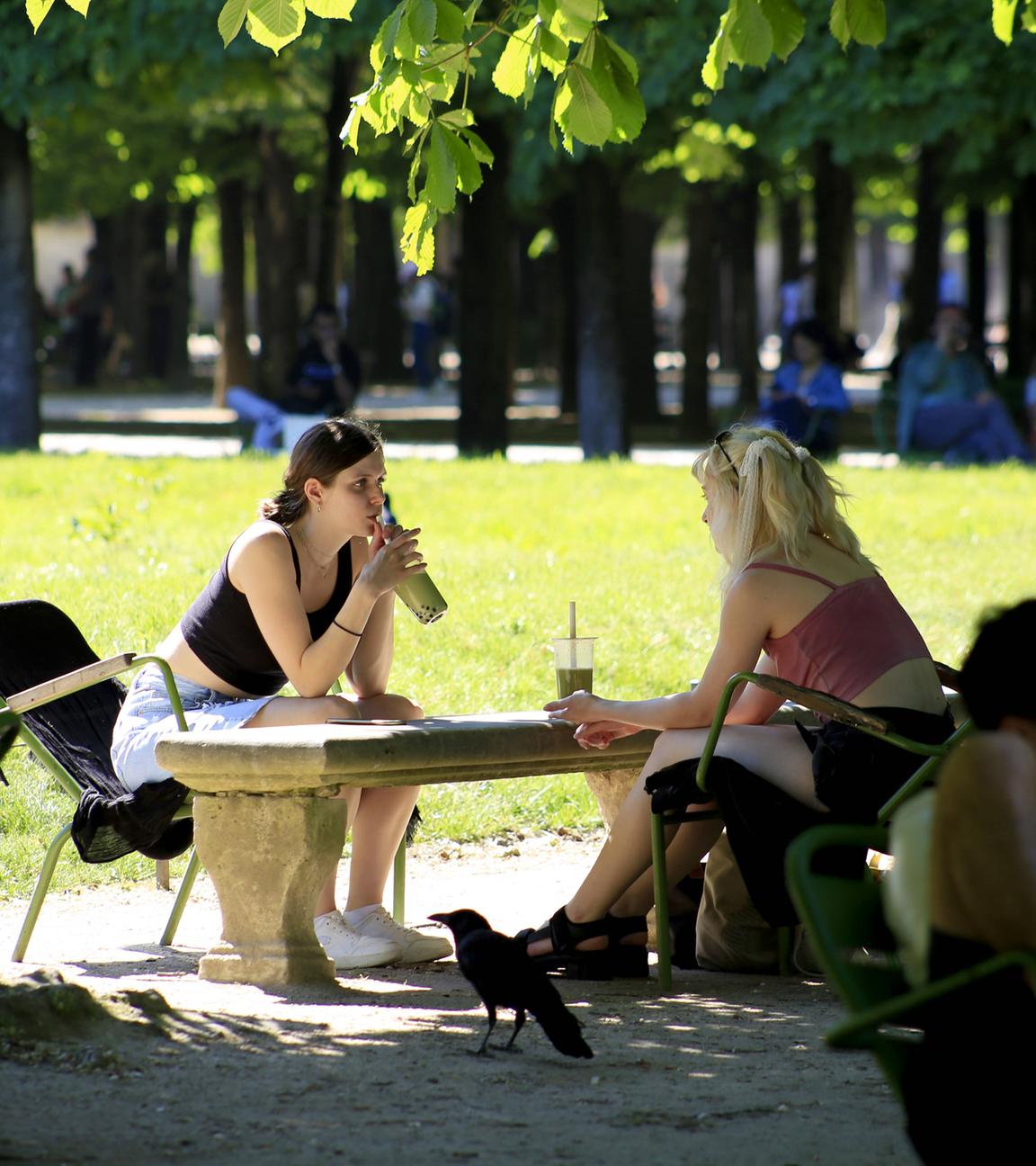 Im Jardin des Tuileries sitzen Pariser und Touristen im Schatten der Bäume während einer Hitzewelle.