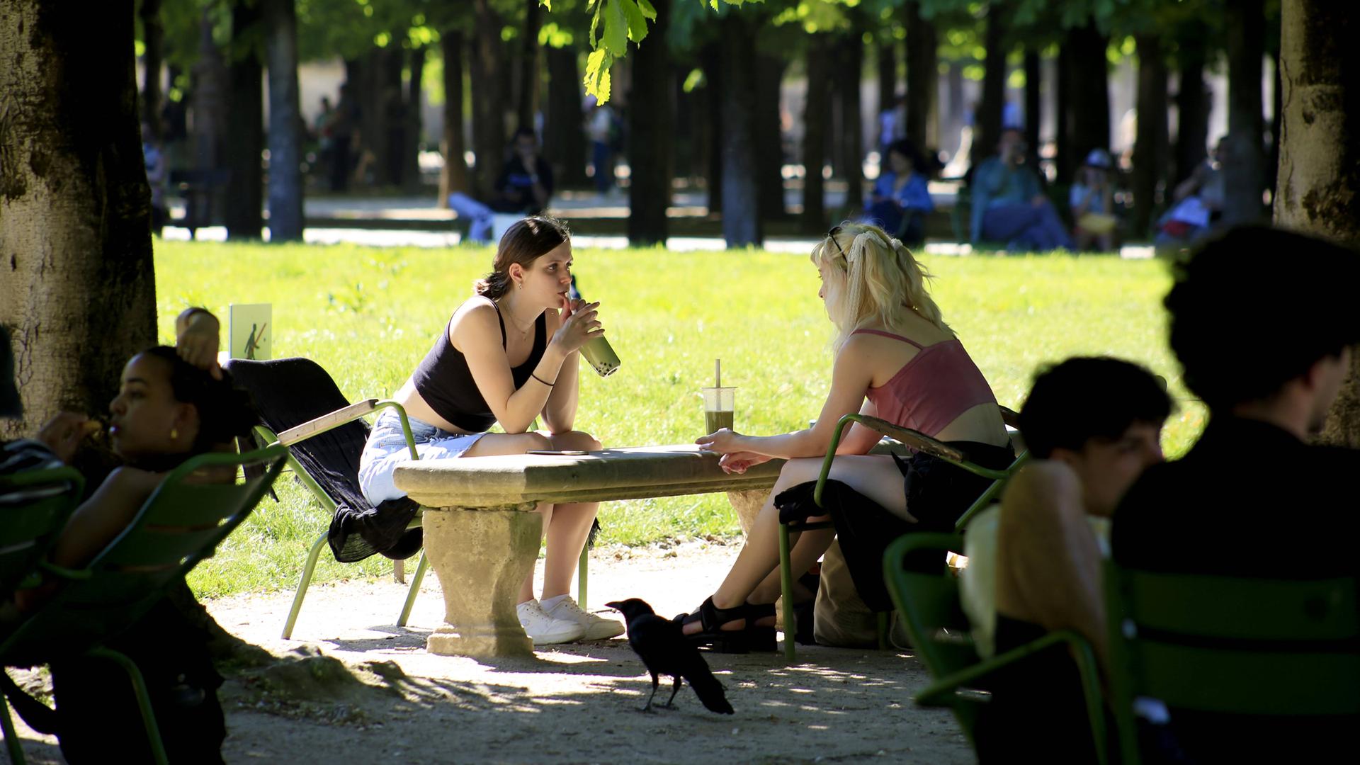 Im Jardin des Tuileries sitzen Pariser und Touristen im Schatten der Bäume während einer Hitzewelle.
