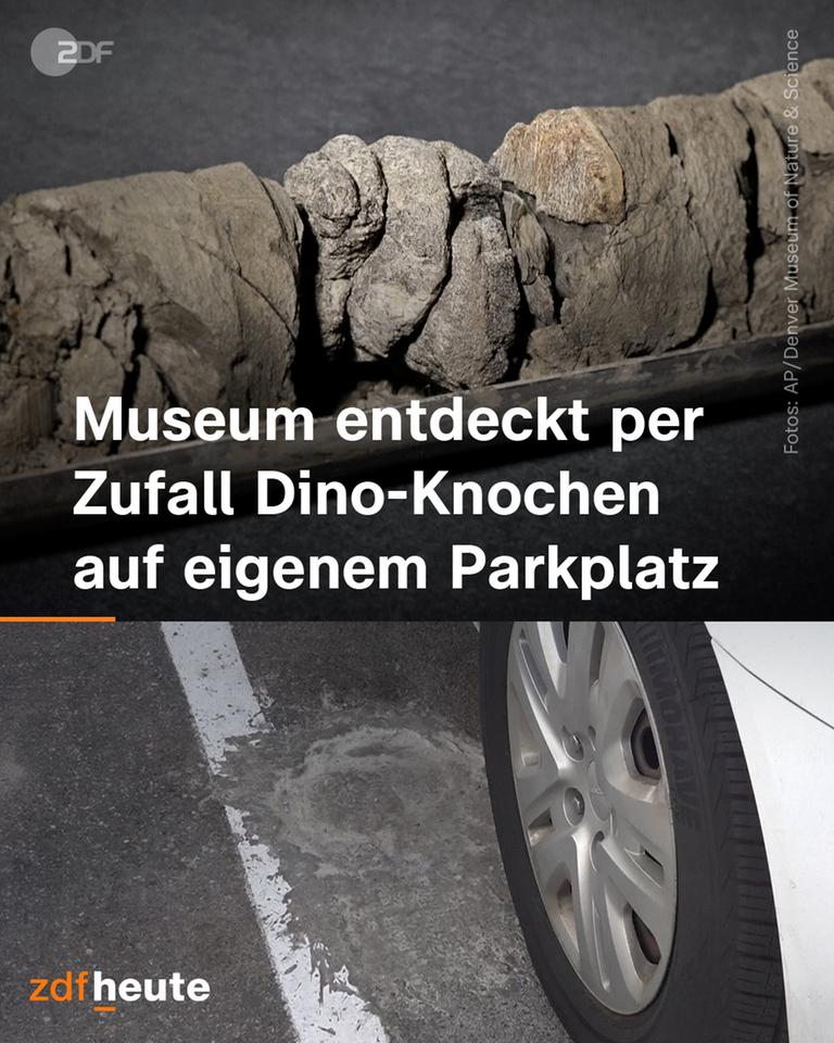 Dinoknochen auf einem Museumsparkplatz