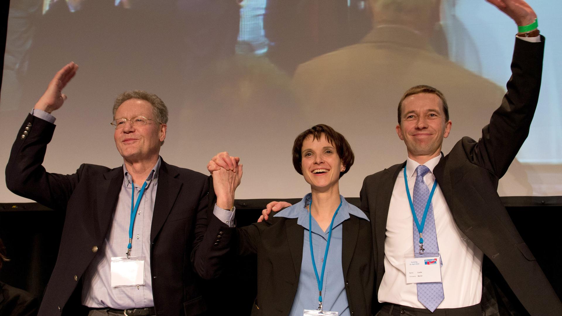 Lucke, Petry und Adam beim AfD-Parteitag zu den Vorsitzenden gewählt.