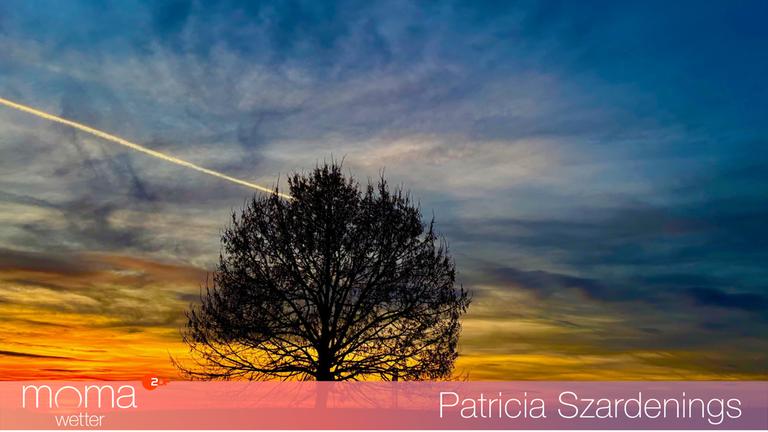 Gewinnerfoto vom 12. Dezember 2025