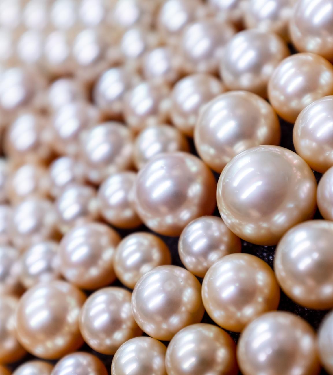 Helle Perlen in der Nahaufnahme