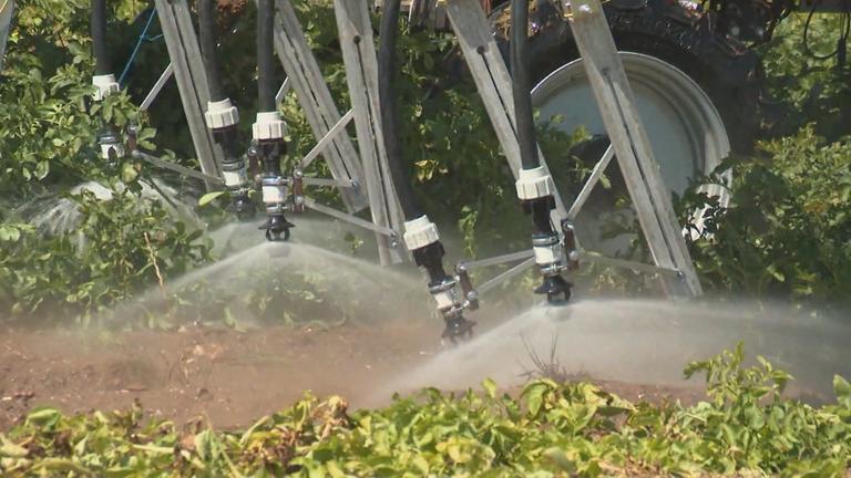 Pestizid-Beschränkungen in Frankreich	